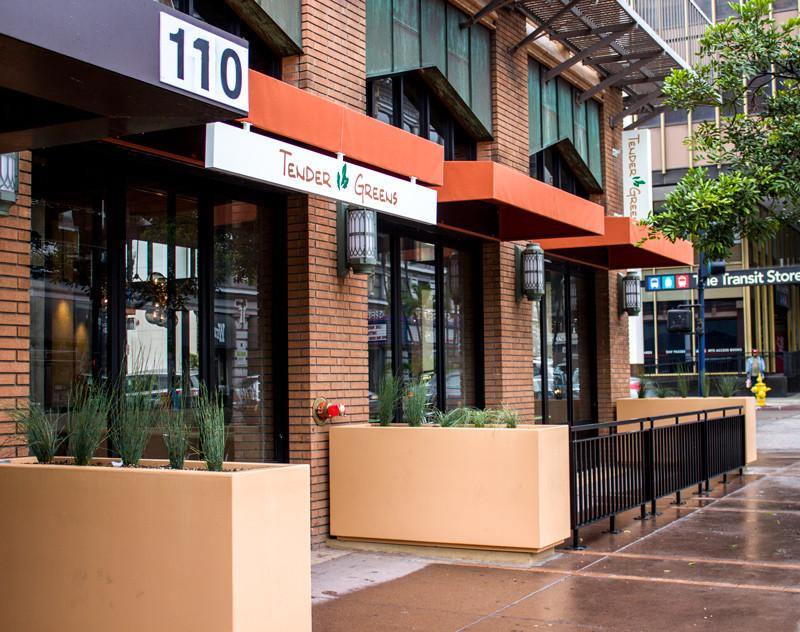 Restaurant Project | Tender Greens Downtown San Diego Art Install | The Art and Fun of Nan Coffey - The Art Of Nan Coffey