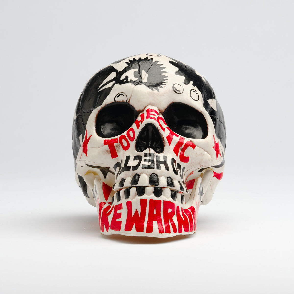 Operation Ivy Skull 2026