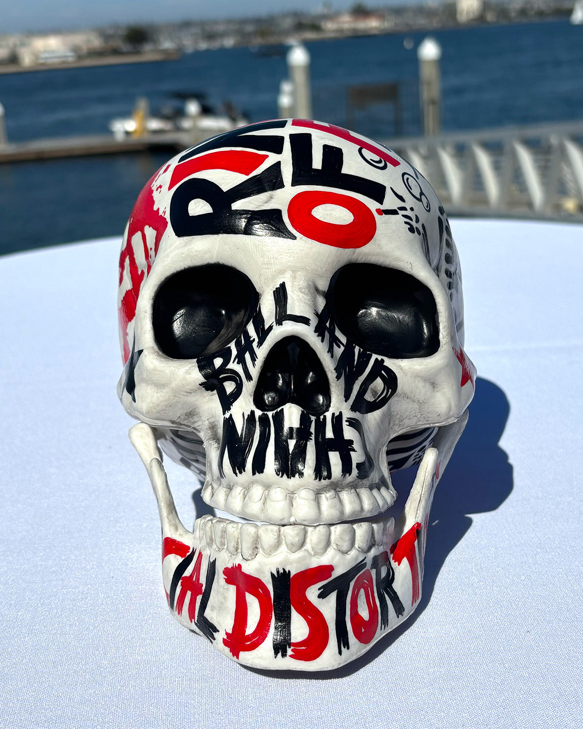 The Social D Skull 2026 - hand-painted resin skull by San Diego artist Nan Coffey