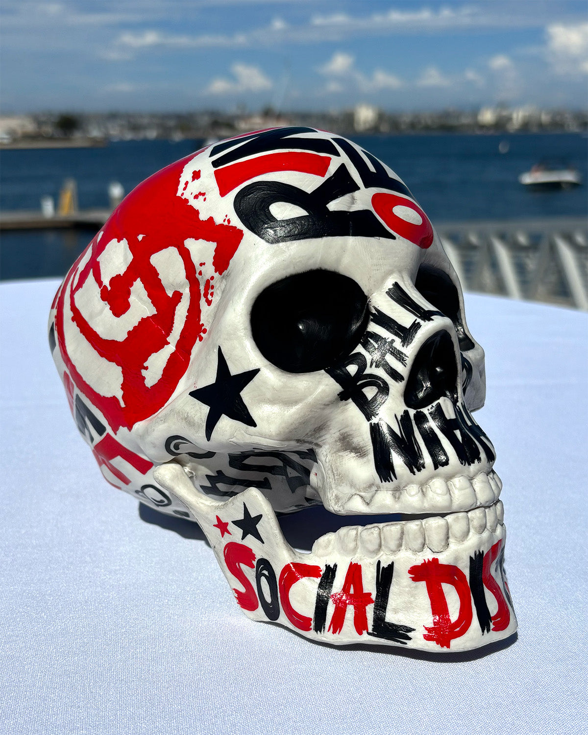 The Social D Skull 2026 - hand-painted resin skull by Nan Coffey