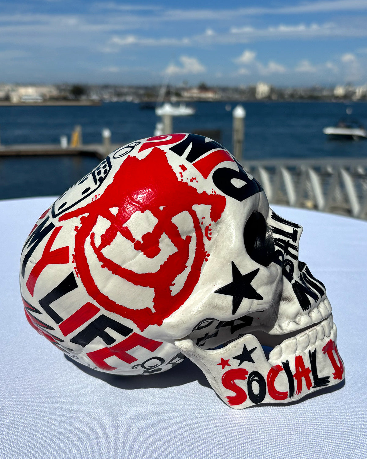 The Social D Skull 2026 - hand-painted resin skull by Nan Coffey
