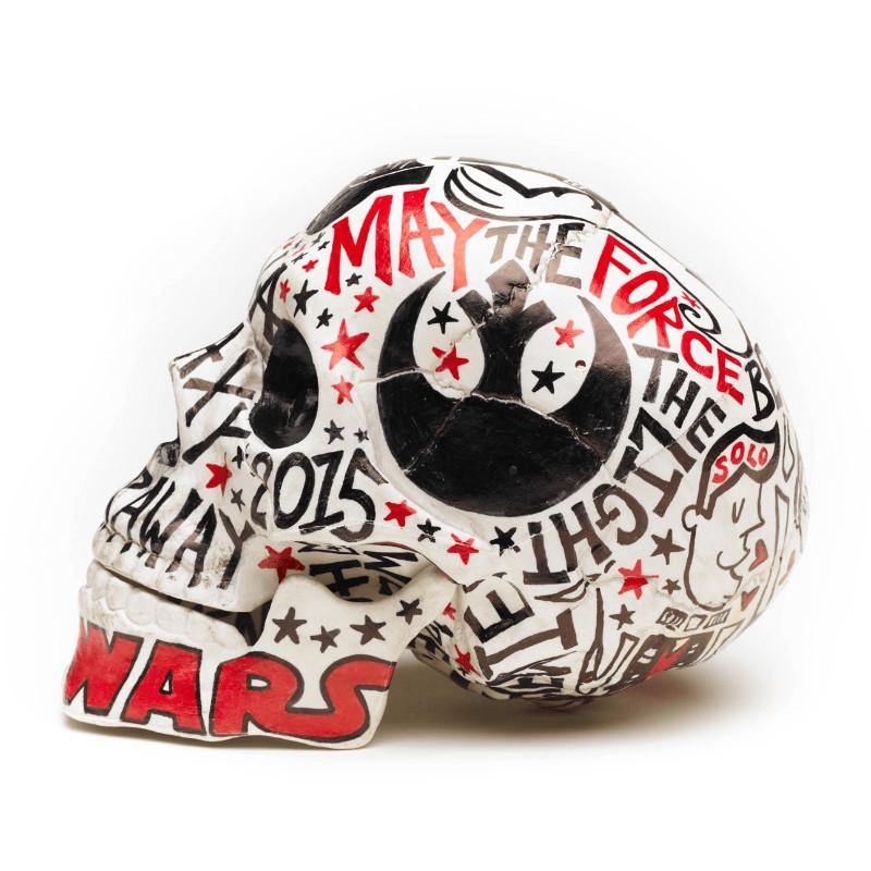 Skull | Star Wars | Art All Over | Fine Art and Limited Edition Prints | The Art Of Nan Coffey